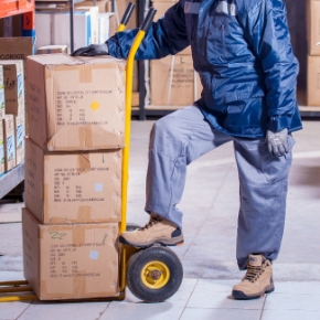 Picture for category Trolleys