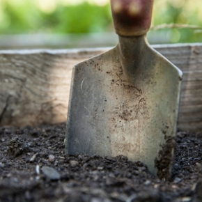 Picture for category Garden Tools