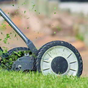 Picture for category Garden Equipment