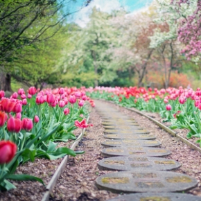 Picture for category Landscaping