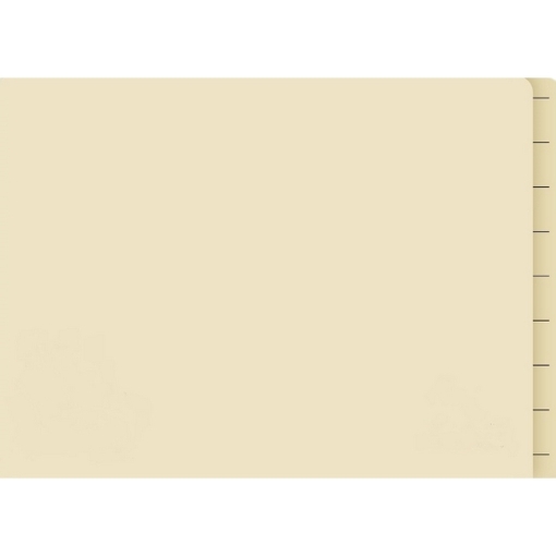 SW lateral document, similar to tidy files, croxley files from tidy files,makro.