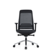 SW ergonomic executive, like the ergonomic chair, saddle chair through ergonomics direct, makro.