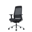 SW ergonomic executive, comparable to ergonomic chair, saddle chair by ergonomics direct, makro.