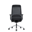 SW ergonomic executive, similar to ergonomic chair, saddle chair from ergonomics direct, makro.