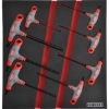 Supplywise Metric T-handle hex driver set 2.0-10.0mm similar to the Caslad 8pc t-handle metric hex driver set with red foam inlay